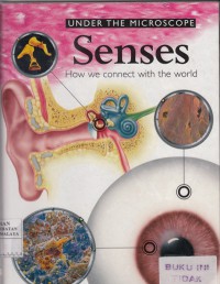Senses : how we connect with the world  6