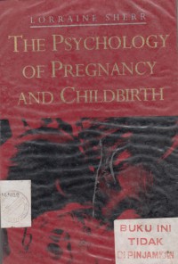 The Psychology Of Pregnancy And Childbirth
