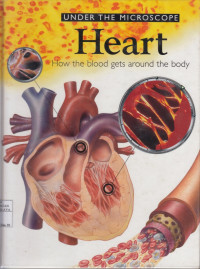 Image of Under The Microscpe Heart How the blood get around the body