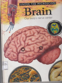 Image of Under The Microscpe  Brain Our body's nerve center