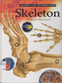 Image of Under The Microscpe Skeleton our Body's Framework