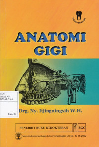 Anatomi Gigi
