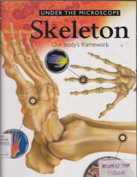 Skeleton : our body's framework  2