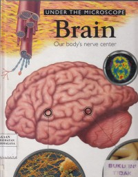Brain : our body's nerve center  8