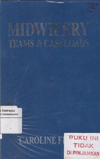 Midwifery Teams And Caseloads