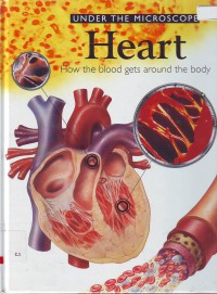 Under the microscope heart how the blood gets around the body volume 1
