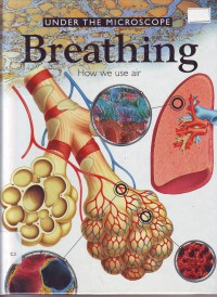 Under the microscope breathing how we use air volume 5