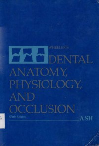 Dental Anatomy Physiology and Occlusion